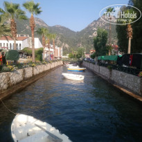 фото из отзыва ID 1824230