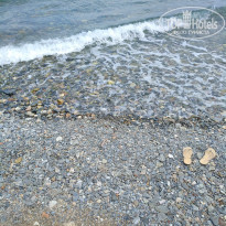 фото из отзыва ID 1824277