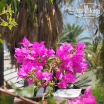 фото из отзыва ID 1824346