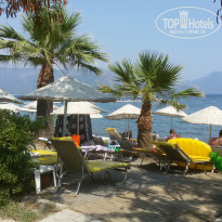 фото из отзыва ID 1824346