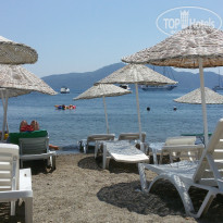 фото из отзыва ID 1824346