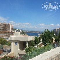 фото из отзыва ID 1824371