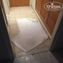 фото из отзыва ID 1824475