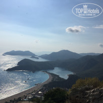 фото из отзыва ID 1824524