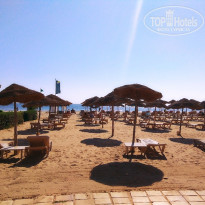 фото из отзыва ID 1824481