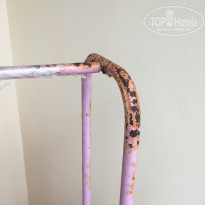 фото из отзыва ID 1824855