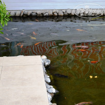 фото из отзыва ID 1825020