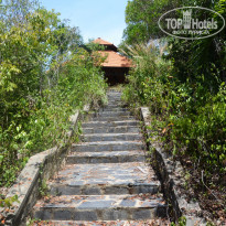 фото из отзыва ID 1825020