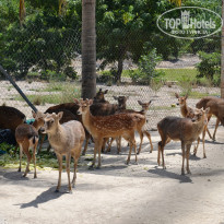 фото из отзыва ID 1825020