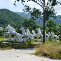 фото из отзыва ID 1825020