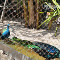 фото из отзыва ID 1825020