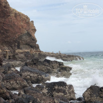 фото из отзыва ID 1825067