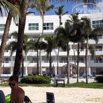 фото из отзыва ID 1825096