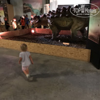 фото из отзыва ID 1825116