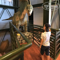 фото из отзыва ID 1825116