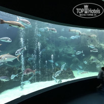 фото из отзыва ID 1825116