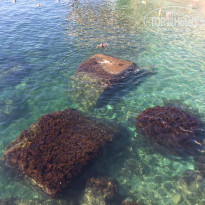 фото из отзыва ID 1825134