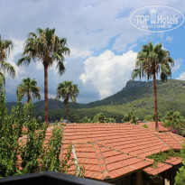 фото из отзыва ID 1825183