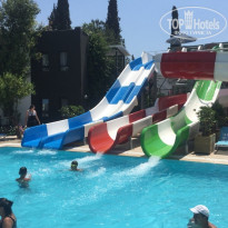 фото из отзыва ID 1825210