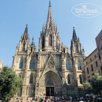 фото из отзыва ID 1825354