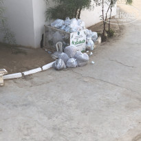 фото из отзыва ID 1825453