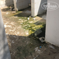 фото из отзыва ID 1825453