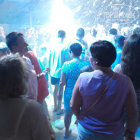 фото из отзыва ID 1825612