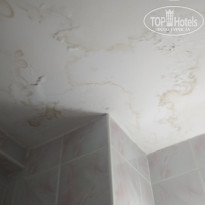 фото из отзыва ID 1825681