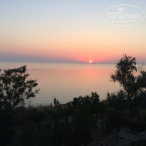 фото из отзыва ID 1825762