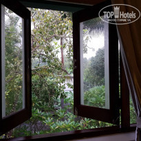 фото из отзыва ID 1825793