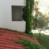 фото из отзыва ID 1825809