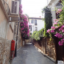 фото из отзыва ID 1825906