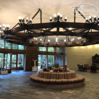 фото из отзыва ID 1826077