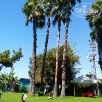 фото из отзыва ID 1826238