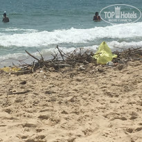 фото из отзыва ID 1826484