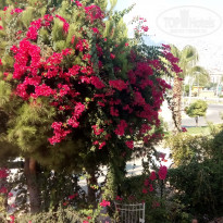 фото из отзыва ID 1826953