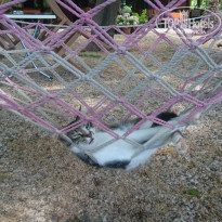 фото из отзыва ID 1826986