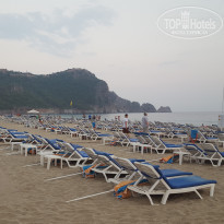 фото из отзыва ID 1827036