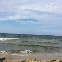 фото из отзыва ID 1827175