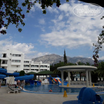 фото из отзыва ID 1827301