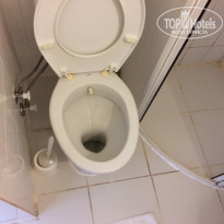 фото из отзыва ID 1827382