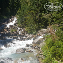 фото из отзыва ID 1827434