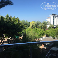 фото из отзыва ID 1827511