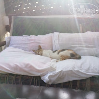 фото из отзыва ID 1827699