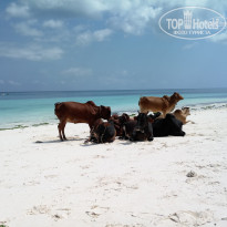 фото из отзыва ID 1827699