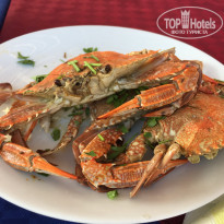 фото из отзыва ID 1827738