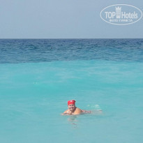 фото из отзыва ID 1827769