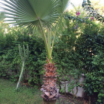 фото из отзыва ID 1827920