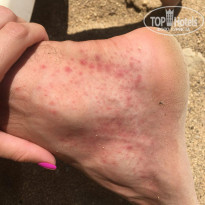 фото из отзыва ID 1827958