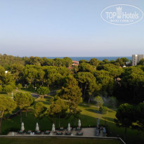 фото из отзыва ID 1827997